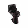 black-glacier-bay-one-piece-toilets-n2420-blk-64_1000