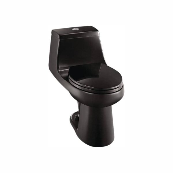 black-glacier-bay-one-piece-toilets-n2420-blk-64_1000
