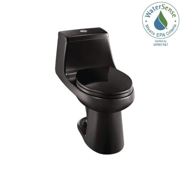 black-glacier-bay-one-piece-toilets-n2420-blk-a0_1000