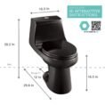 black-glacier-bay-one-piece-toilets-n2420-blk-e1_1000