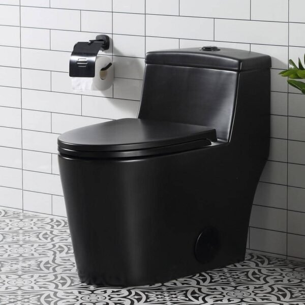black-horow-one-piece-toilets-hr-0080b-64_1000
