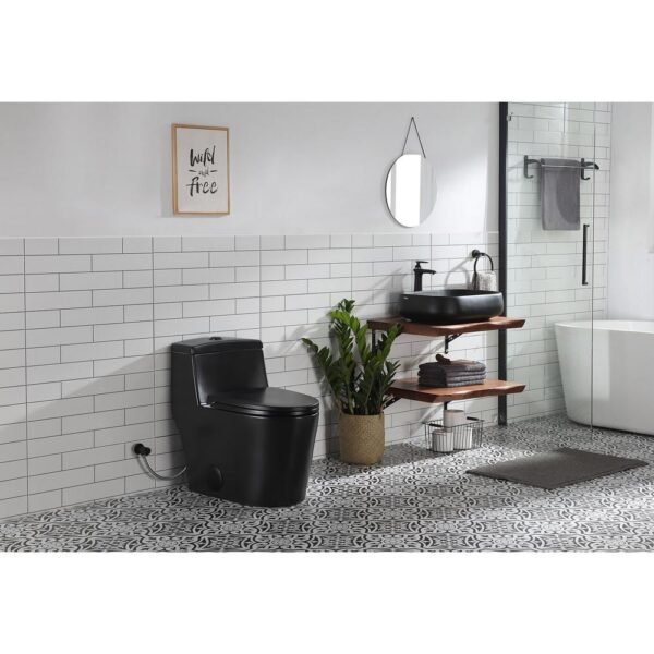 black-horow-one-piece-toilets-hr-0080b-e1_1000