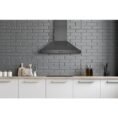 black-stainless-steel-hauslane-wall-mount-range-hoods-wm-590bss-30-e1_1000
