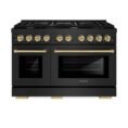 black-stainless-steel-zline-kitchen-and-bath-double-oven-dual-fuel-ranges-sdrbz-48-cb-64_1000