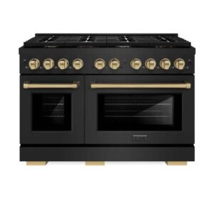 Paramount 48 in. 8-Burner Double Convection Oven Dual Fuel Range in Black Stainless Steel and Champagne Bronze