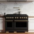 black-stainless-steel-zline-kitchen-and-bath-double-oven-dual-fuel-ranges-sdrbz-48-cb-e1_1000