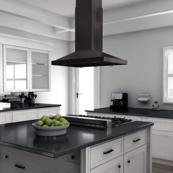 black-stainless-steel-zline-kitchen-and-bath-island-range-hoods-bsgl2in-42-1f_1000