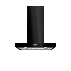 Lora 30 in. 350CFM Convertible Kitchen Island T-Shape Range Hood in Black with Charcoal filters and LED Lighting