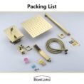 brushed-gold-boyel-living-dual-shower-heads-ms-bl-a3803-1bg-66_1000