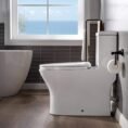 brushed-gold-button-woodbridge-one-piece-toilets-hb0750-bg-a0_1000