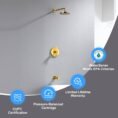 brushed-gold-luxier-bathtub-shower-faucet-combos-ss-c02-tg-a0_1000
