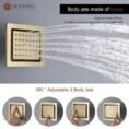 brushed-gold-mondawe-dual-shower-heads-wf6338cc-16bg-1d_1000