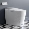 chrome-horow-bidet-toilets-t03-aoc-64_1000
