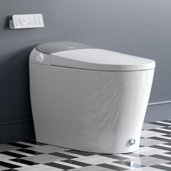 chrome-horow-bidet-toilets-t03-aoc-64_1000