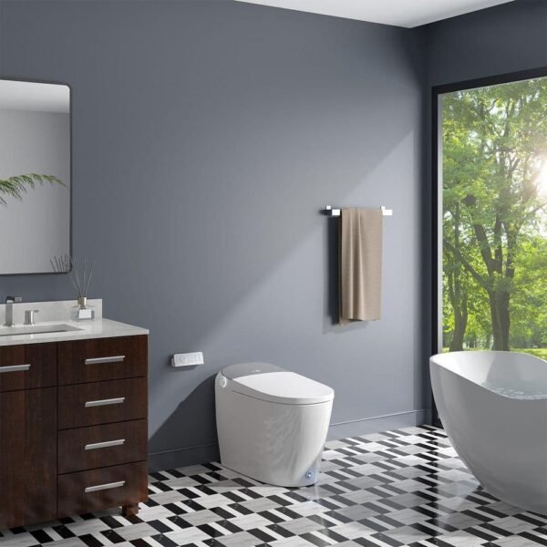 chrome-horow-bidet-toilets-t03-aoc-e1_1000