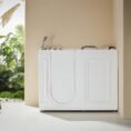 chrome-horow-walk-in-tubs-wt52-l-a0_1000
