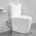 crisp-white-eridanus-one-piece-toilets-eri-1t323-64_1000