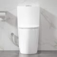 crisp-white-eridanus-one-piece-toilets-eri-1t323-e1_1000