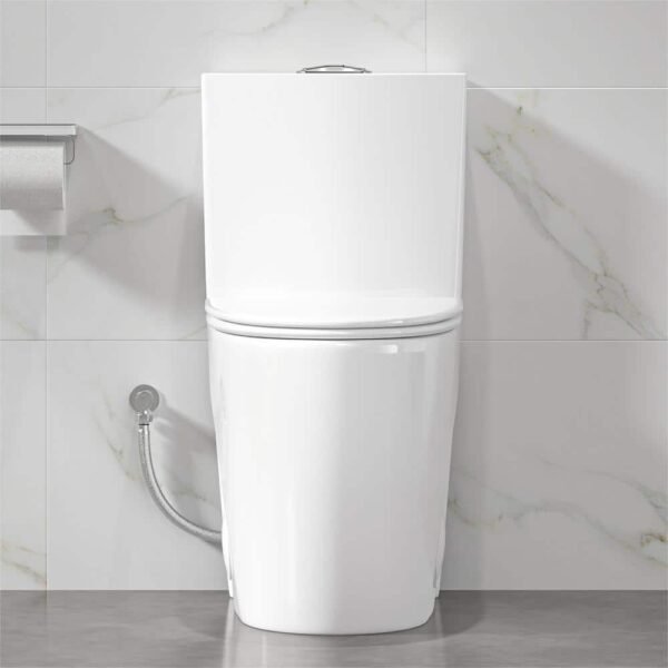 crisp-white-eridanus-one-piece-toilets-eri-1t323-e1_1000