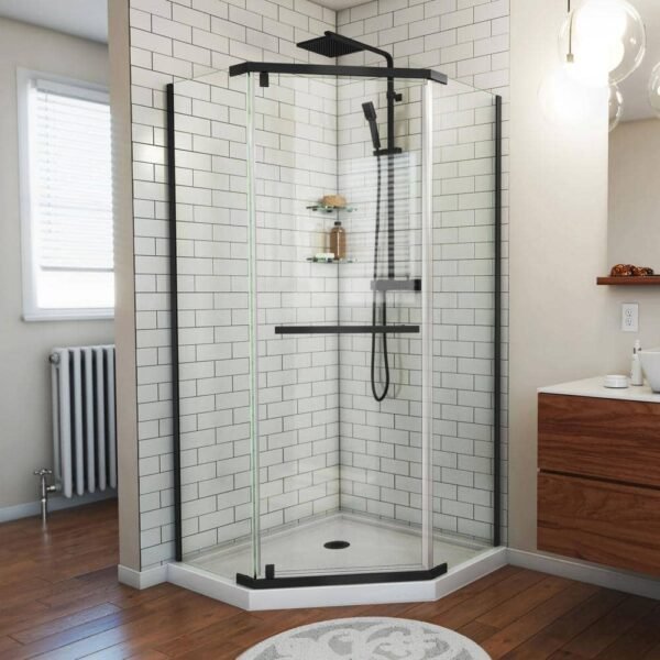 dreamline-shower-enclosures-dl-6030-09-64_1000