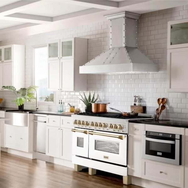 durasnow-stainless-steel-zline-kitchen-and-bath-double-oven-dual-fuel-ranges-rasz-wm-48-g-40_1000
