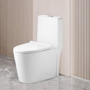 1.1/1.6 GPF Dual Flush Tornado Elongated 1-Piece Toilet in Gloss White with PP Soft Closing Seat Cover