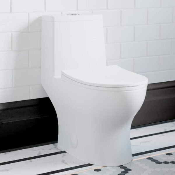 glossy-white-swiss-madison-one-piece-toilets-sm-1t127-64_1000