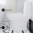 glossy-white-swiss-madison-one-piece-toilets-sm-1t127-a0_1000