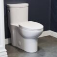 glossy-white-swiss-madison-one-piece-toilets-sm-1t206-64_1000