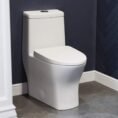 glossy-white-swiss-madison-one-piece-toilets-sm-1t277-64_1000