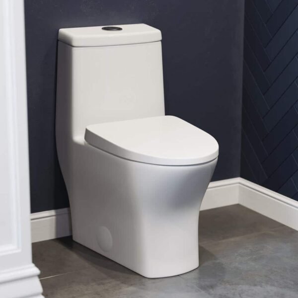 glossy-white-swiss-madison-one-piece-toilets-sm-1t277-64_1000