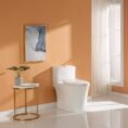 gold-horow-one-piece-toilets-hr-0038g-e1_1000