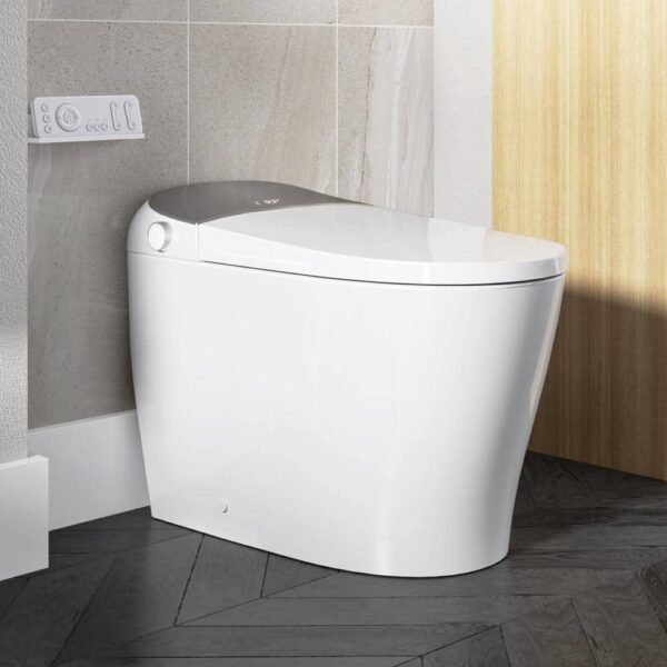gray-horow-bidet-toilets-t03-64_1000