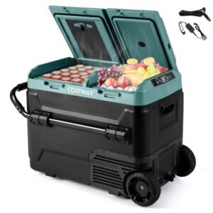 51 Quart Car Refrigerator Portable 12/24V DC & 110-240V AC Dual Zone Car Freezer in Black
