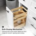 home-decorators-collection-bathroom-vanities-with-tops-tarbot-48w-a0_1000