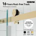 horow-alcove-shower-doors-hr-te6076-bg-40_1000