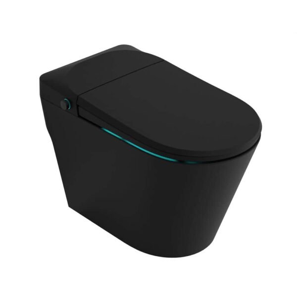 matte-black-anzzi-bidet-toilets-tl-stff950mb-64_1000