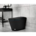 matte-black-anzzi-bidet-toilets-tl-stff950mb-e1_1000
