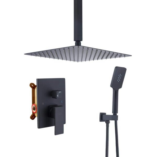 matte-black-casainc-dual-shower-heads-wf-w98102h-12-64_1000