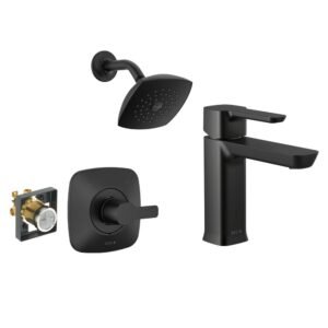 Modern 1-Spray Shower Faucet with Single Handle Single Hole Bathroom Faucet in Matte Black