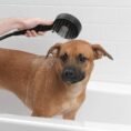 matte-black-glacier-bay-handheld-shower-heads-8400008hc-c3_1000