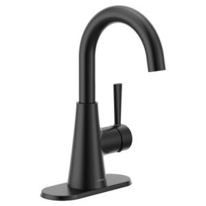 Ronan Single Hole Single-Handle Bathroom Faucet in Matte Black
