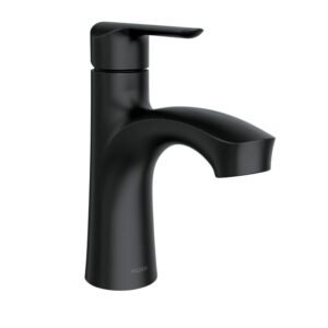Findlay Single-Handle Single-Hole Bathroom Faucet in Matte Black