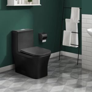 Concorde 1-Piece 0.8 GPF/1.28 GPF Dual Flush Square Toilet in Matte Black Seat Included