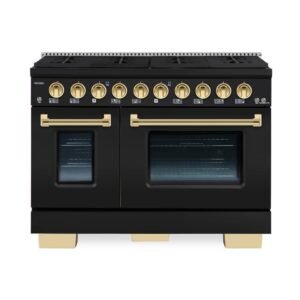 BOLD 48 in. TTL 6.7 CuFt. 8 Burner Freestanding Dual Fuel Range-Gas Stove Electric Oven, Matte Graphite with Brass Trim