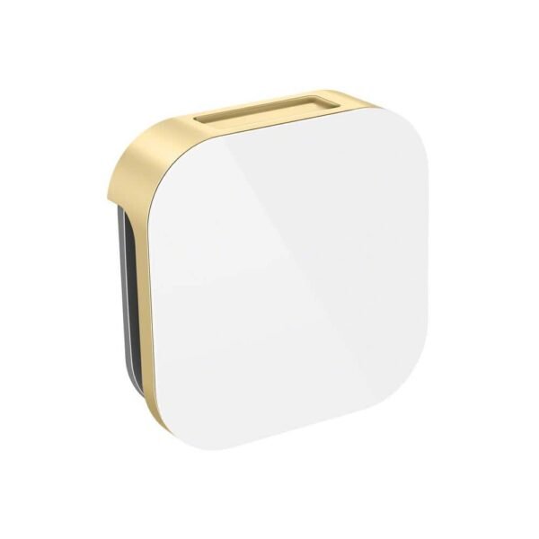 satin-brass-mr-steam-steam-shower-heads-104104wh-sb-64_1000