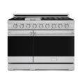 stainless-steel-thor-kitchen-double-oven-gas-ranges-rsg48e-64_1000