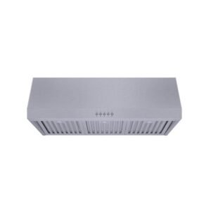 Sarela 30 in. W x 10 in. H 500CFM Convertible Under Cabinet Range Hood in Stainless Steel with LED Lights and Filter