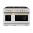stainless-steel-zline-kitchen-and-bath-double-oven-dual-fuel-ranges-hdrz-48-g-64_1000