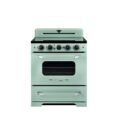 summer-mint-green-unique-appliances-single-oven-electric-ranges-unq-30cr-ic-lg-64_1000